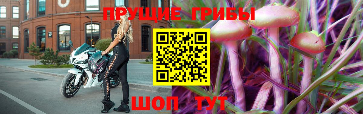 Новоуральск  Псилоцибиновые грибы MAGIC MUSHROOMS  Вход с VPN 